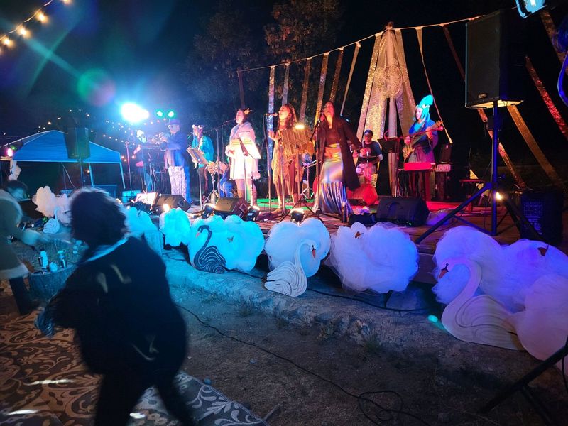 Enjoyus performing on an outdoor stage at night